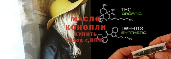 крисы Магас