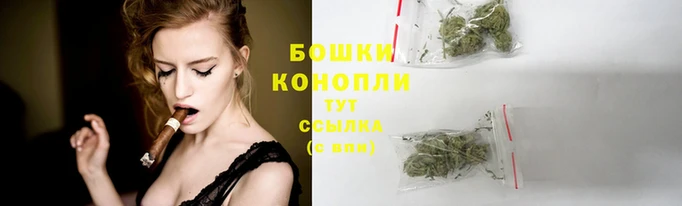 крисы Магас