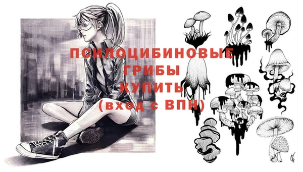 крисы Магас